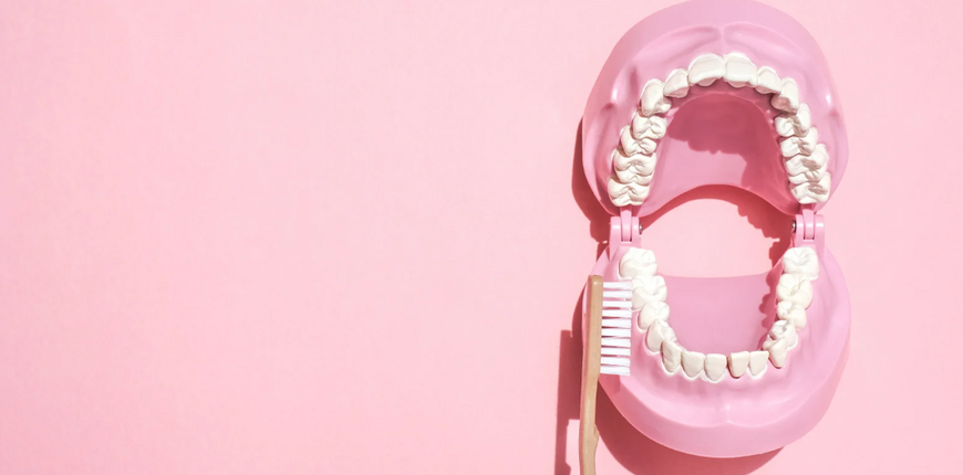 Comment bien entretenir votre Y-Brush pour une hygiène optimale ?