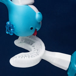 applicateur dentifrice